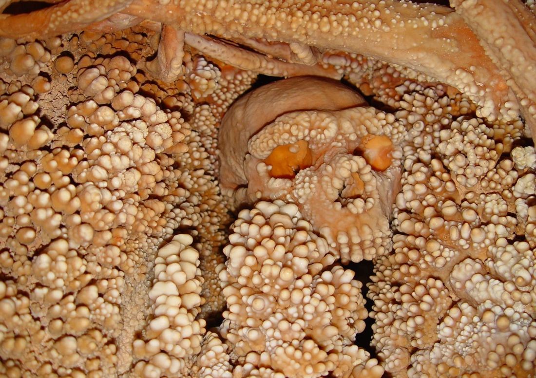 The remains of the so-called Altamura Man, now considered a Neanderthal, encrusted with calcite formations in Altamura, Italy.