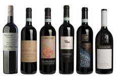 Valpolicella Superiore wines Panel Tasting