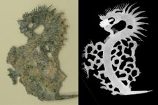 nsf, chinese money tree, chemisty, history