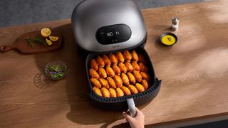 Typhur air fryer