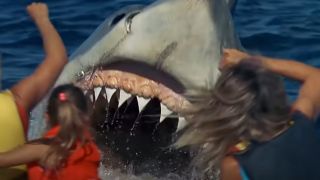 A shark attack in Jaws: The Revenge