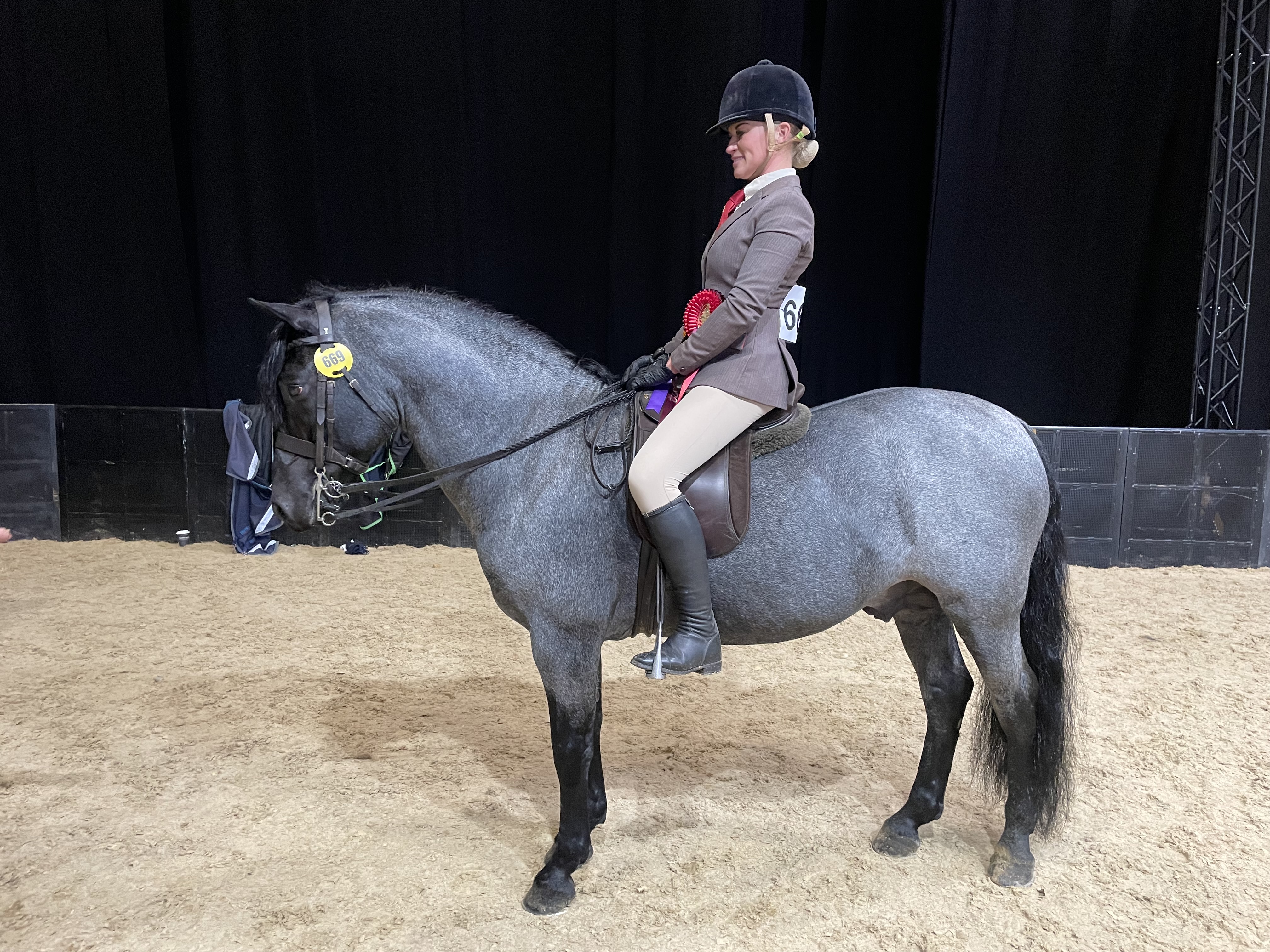 HOYS New Forest