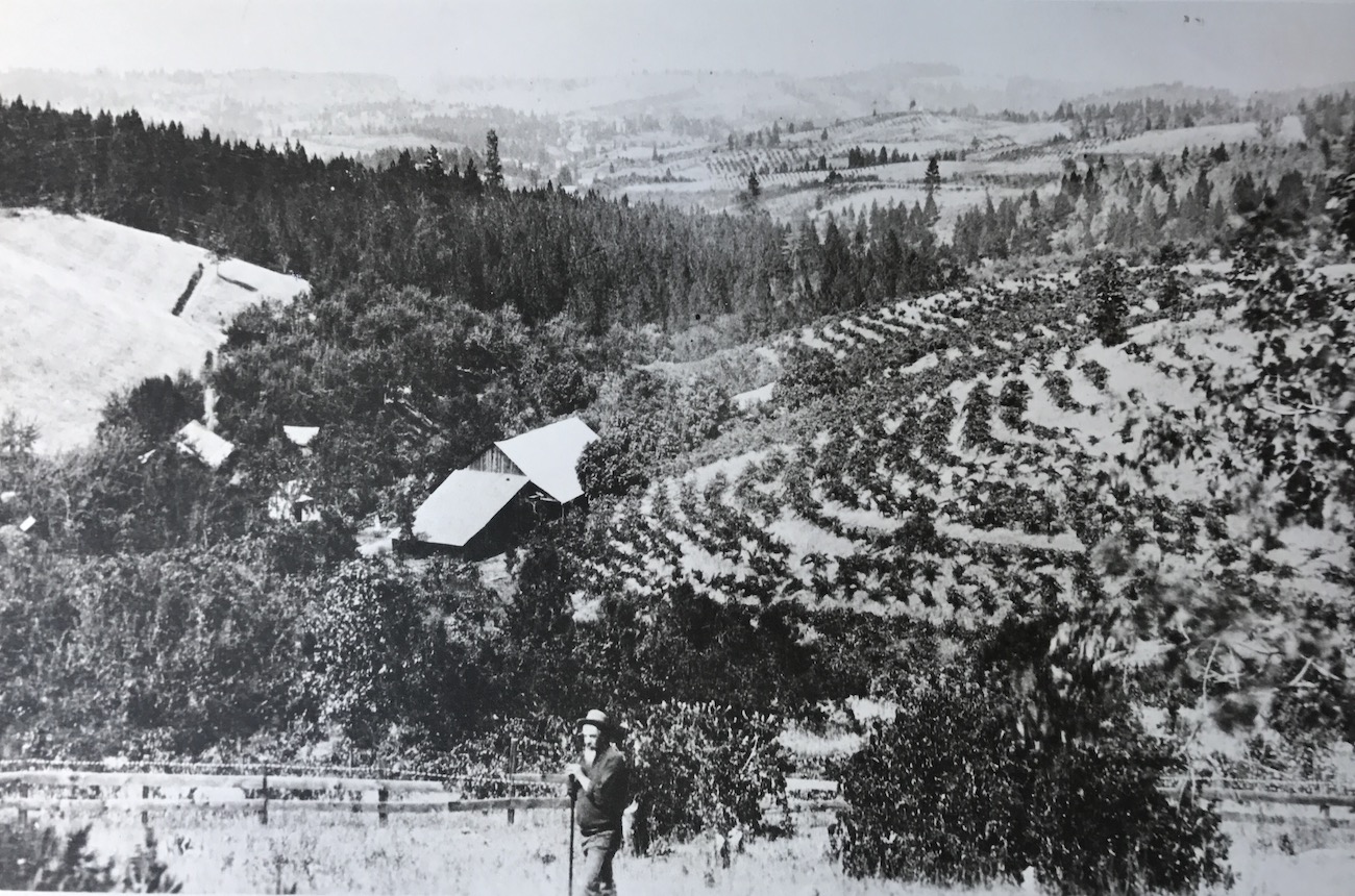 California's El Dorado AVA