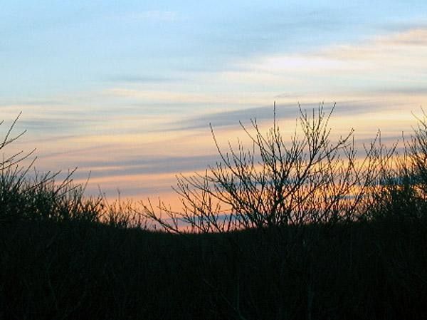 A wintry sunset