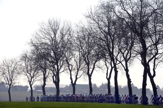 The peloton on stage two of the 2014 Paris-Nice