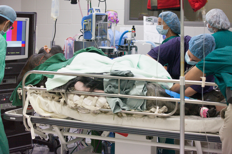 Surgical scrubs