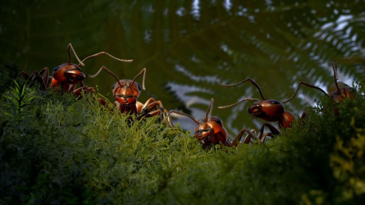 Empire of the Ants on Xbox Series X is one of the 2024&#039;s most visually striking game, and it&#039;s all about buggy gameplay.