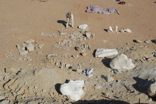 Here, the quarry in the Gobi Desert where one of the Deinocheirus dinosaur specimens was found. 