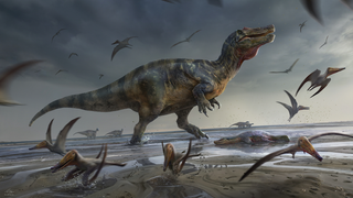 An artist's impression of the gigantic spinosaurid, which stalked lagoonal waters and sandflats in search of prey.