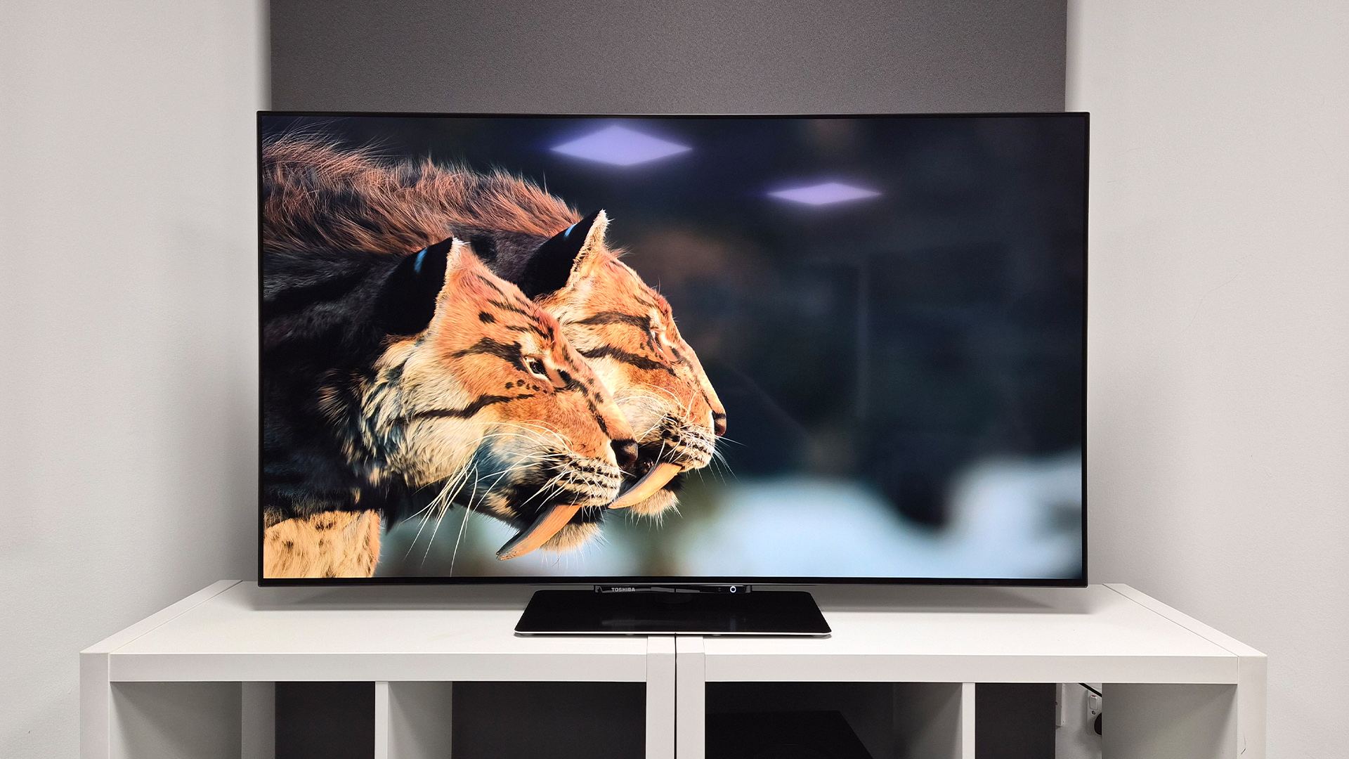 Toshiba XF9F OLED TV on white shelves, on screen are sabre tooth tigers