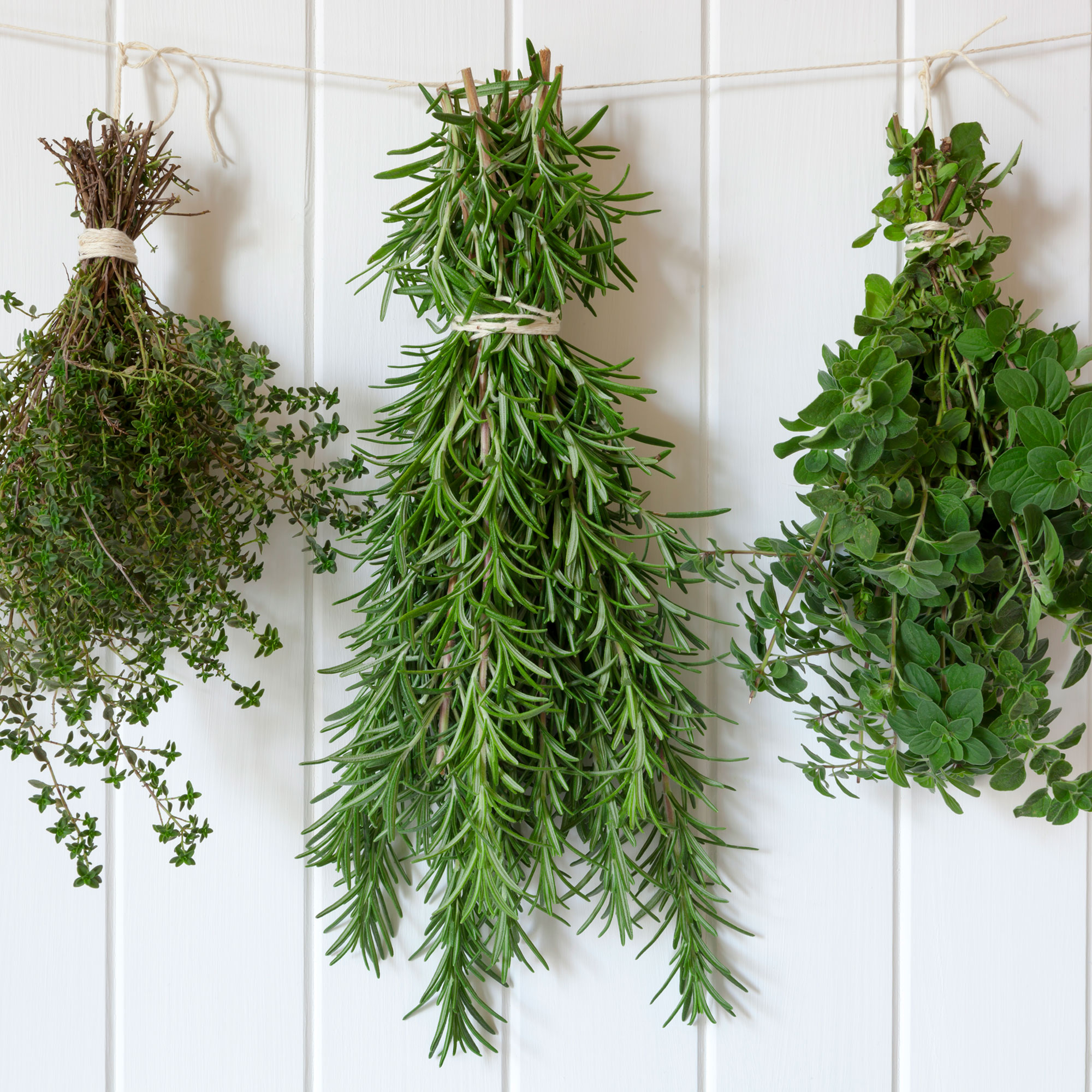 Bunches of herbs hanging from string