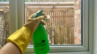 Cleaning interior window