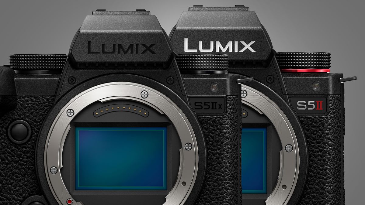 Why the LUMIX S5 II is So Great for Manual Focus