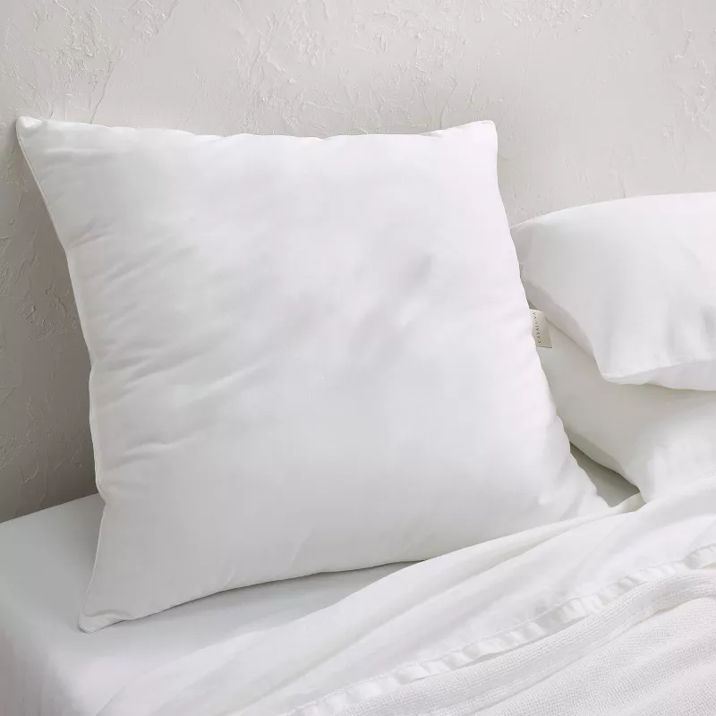Euro Machine Washable Medium Down Alternative Pillow - Casaluna™