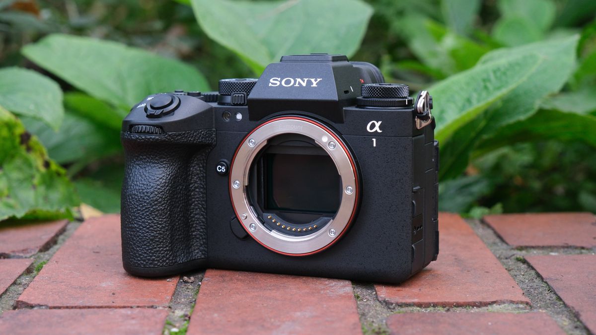 Sony a1 II camera on a brick wall in front of some green plants