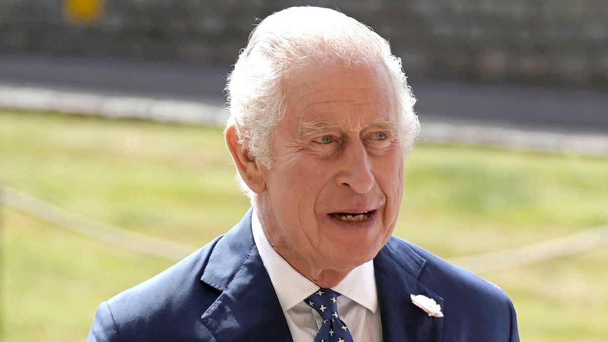 King Charles' poignant commission is now on display - Vimarsana News