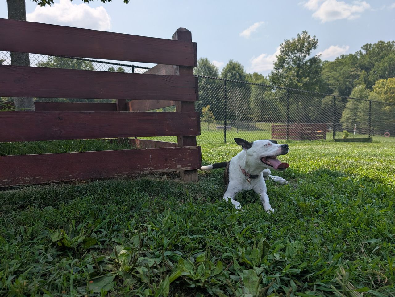 Google Pixel 9 review camera image samples