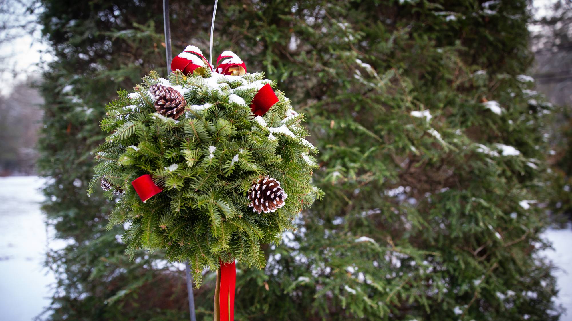 Evergreen kissing ball with red accents outside in snow