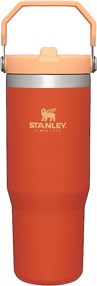 Stanley IceFlow Stainless Steel Tumbler with Straw: was $35 now $29 @ Amazon