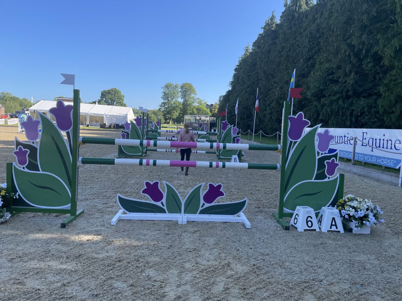 Bicton Horse Trials showjumping