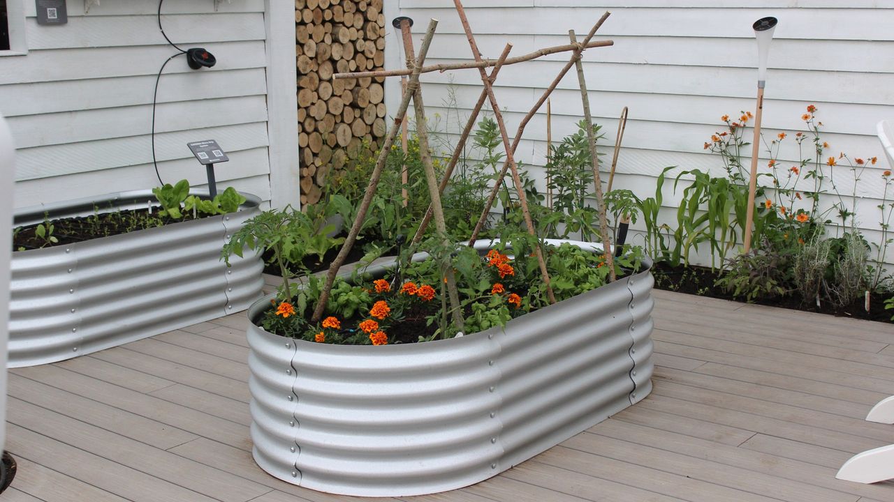 A smart watering system set up in a veg plot at RHS Chelsea Flower Show