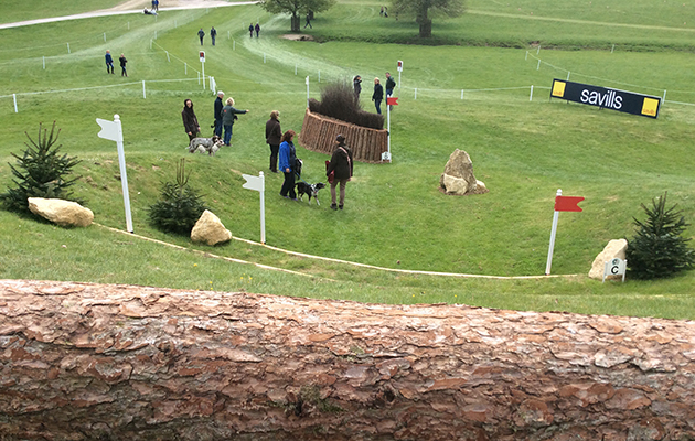 Badminton Fences 2017