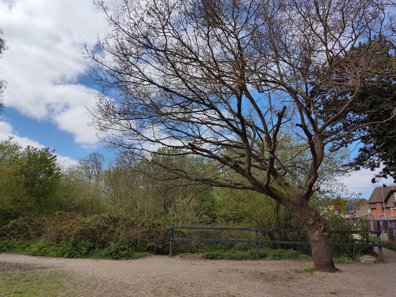 Poco X3 Pro camera sample