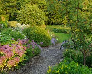 An example of sloping garden ideas showing a stone pathway running through the middle of two flowerbeds