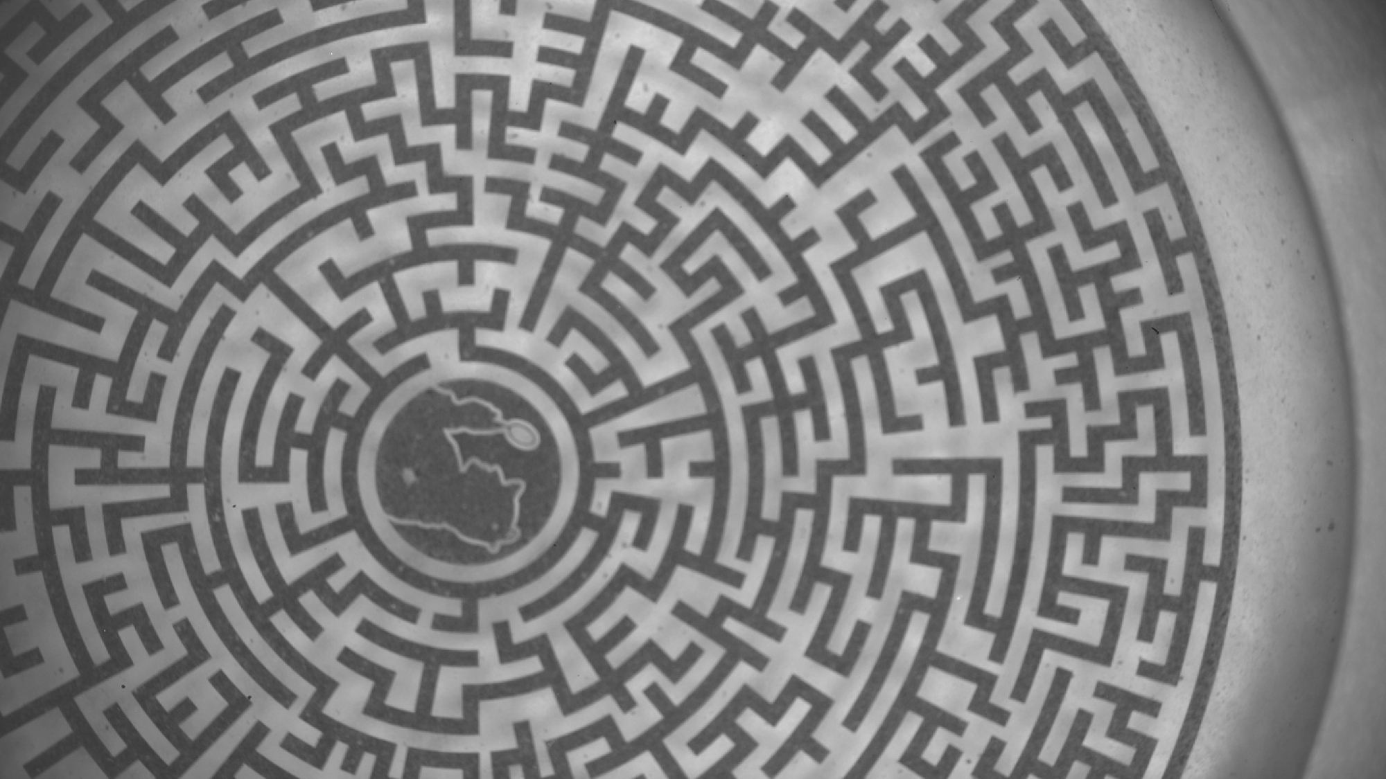 Nahaufnahme einer labyrinthartigen Anlage mit der Silhouette eines Detektivs und einer Lupe in der Mitte