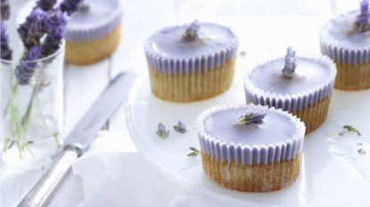 Lavender fairy cakes | Lavender cake