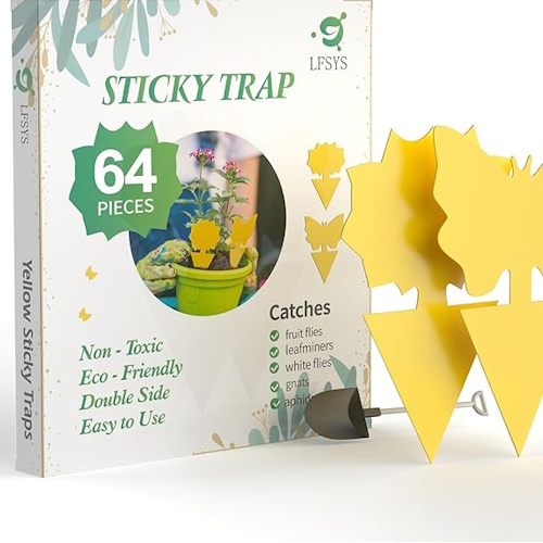Amazon insect sticky traps