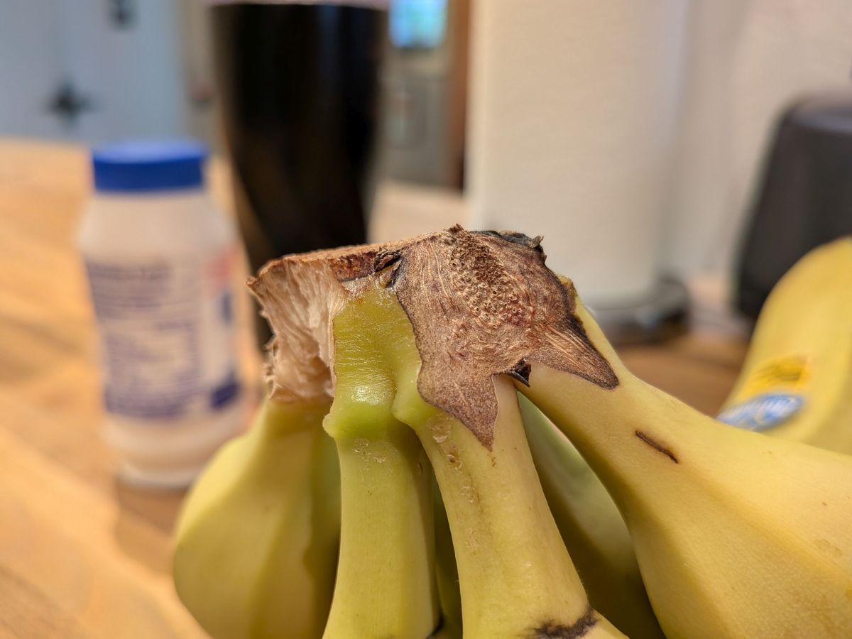 Google Pixel 9a macro sample.