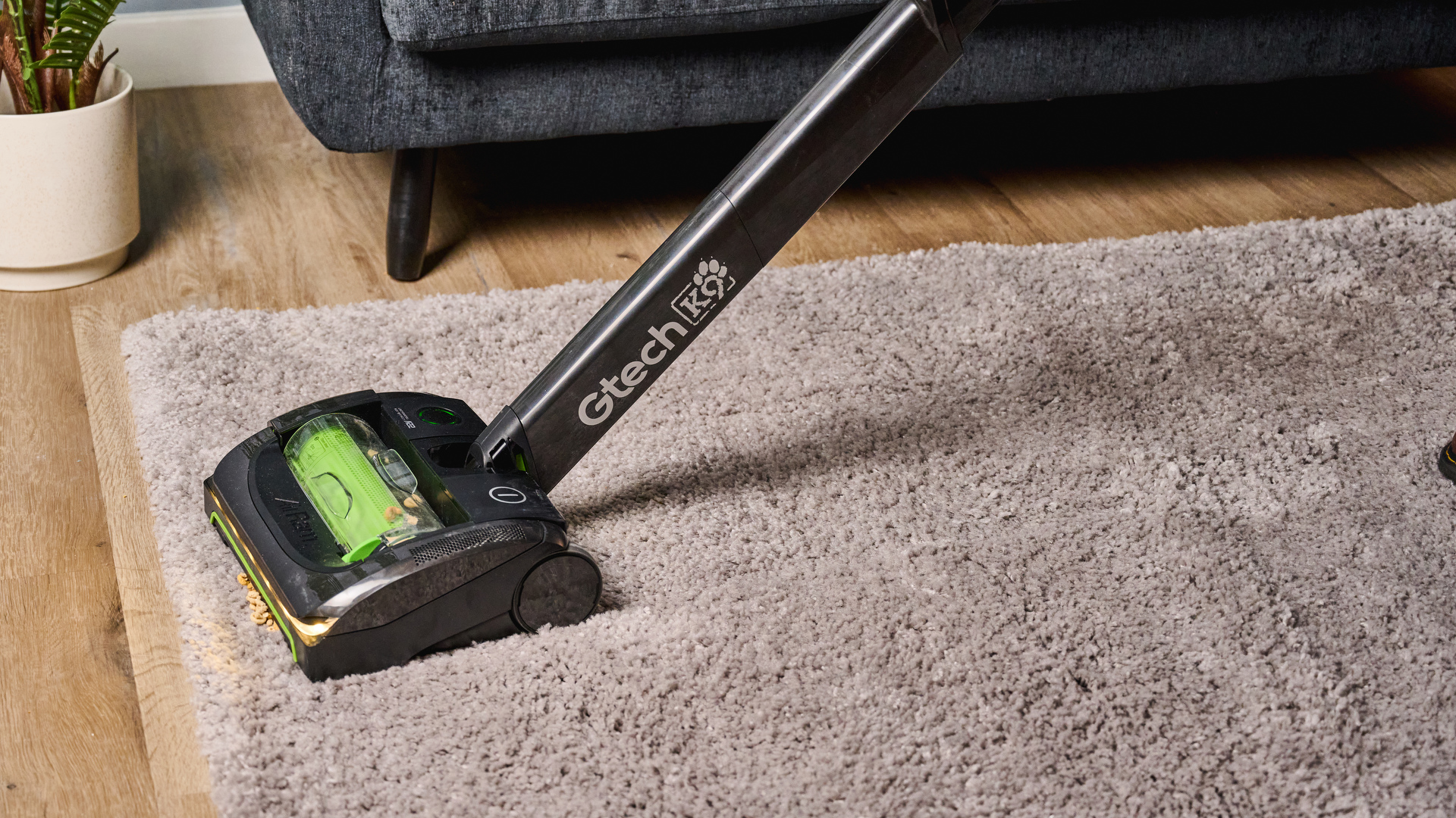 GTech AirRAM 2 K9 cleaning carpet