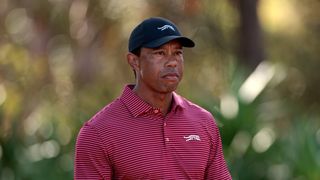 Tiger Woods looks on during the 2024 PNC Championship