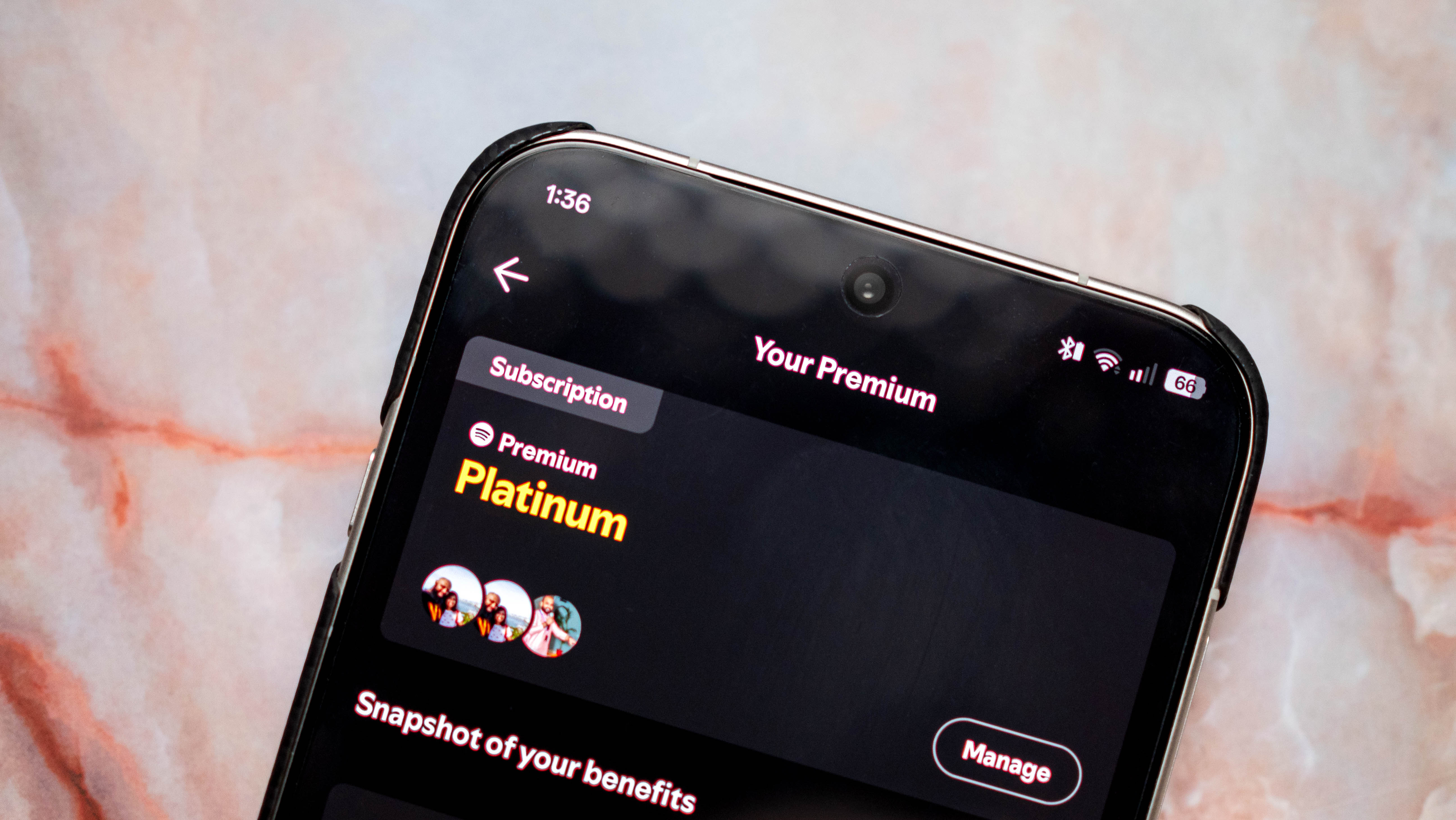 Spotify Premium Platinum plan details in India