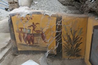 The paintings of the plant and the man working in a thermopolium.