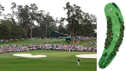 Image of Pink Dogwood at Augusta National