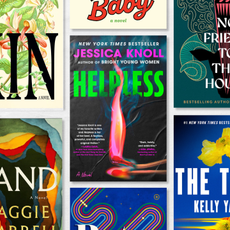 a collage of the best novels of 2026 including helpless land lost lambs kin and more