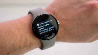 Google Pixel Watch software update low battery