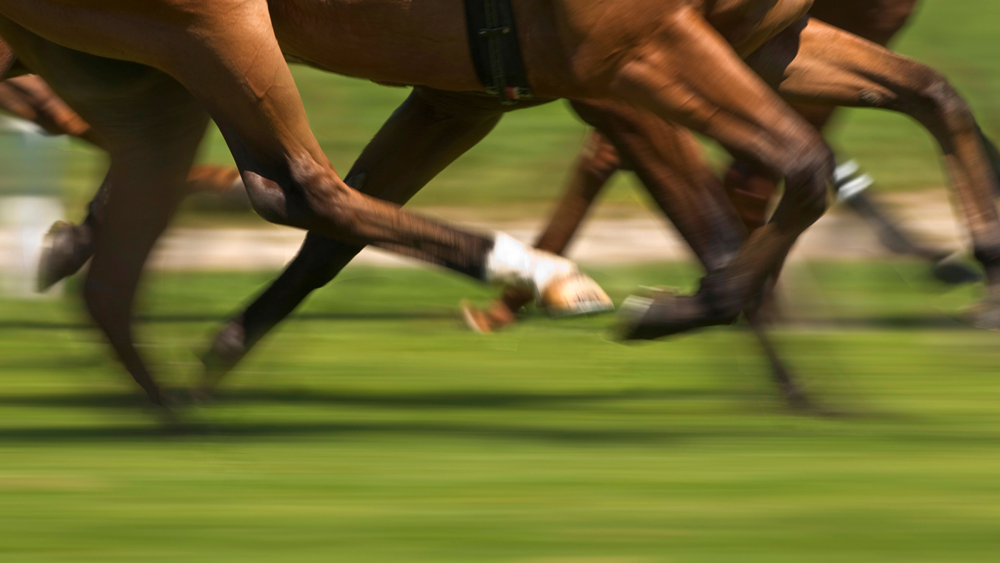 horse-legs-alamy-B61Y5H.jpg