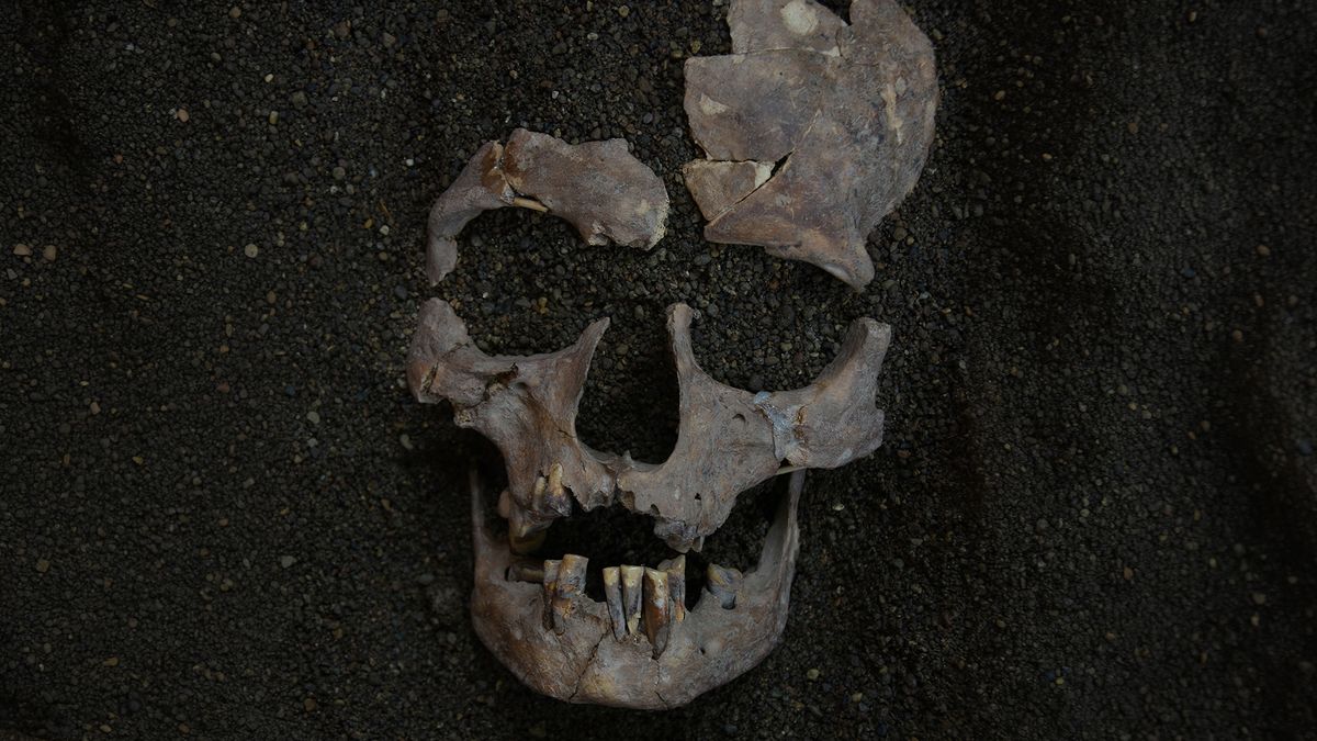 World's oldest evidence of habitual drug use traced back 25,000 years to Indonesia