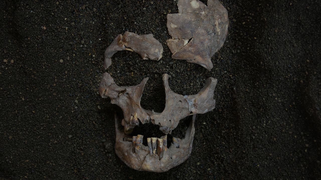 World's oldest evidence of habitual drug use traced back 25,000 years to Indonesia