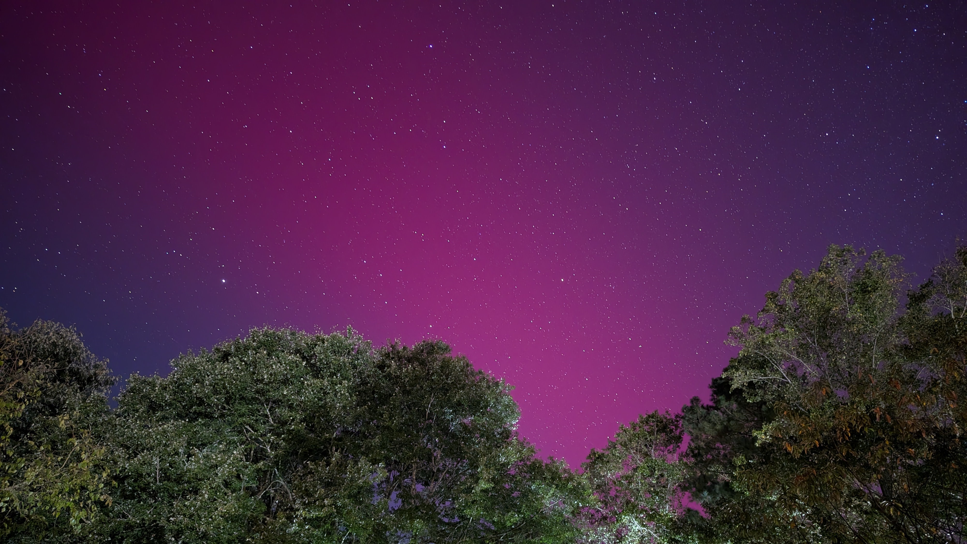 Northern Lights captured by the Pixel 9 Pro Fold with Astrophotography Mode