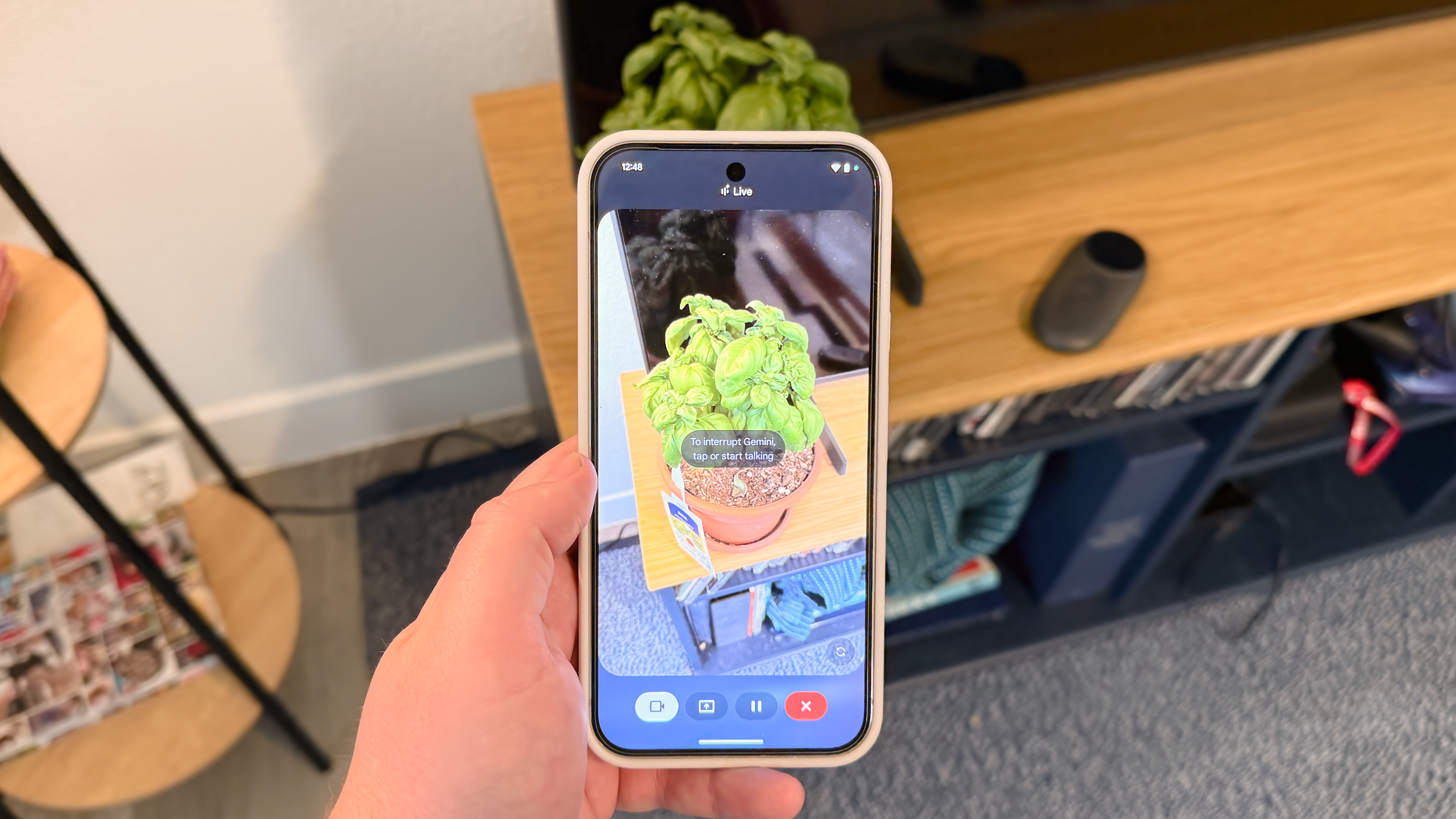 Using Gemini Live to grow plants and diagnose problems.