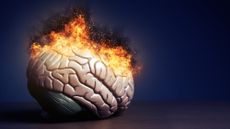 Brain on fire.