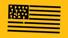 Illustration of a black and yellow US flag with honey-filled beehive hexagons replacing the stars