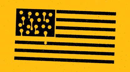 Illustration of a black and yellow US flag with honey-filled beehive hexagons replacing the stars
