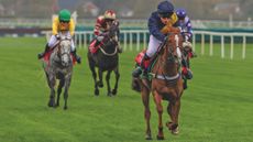 Pony racing scene on grass racecourse