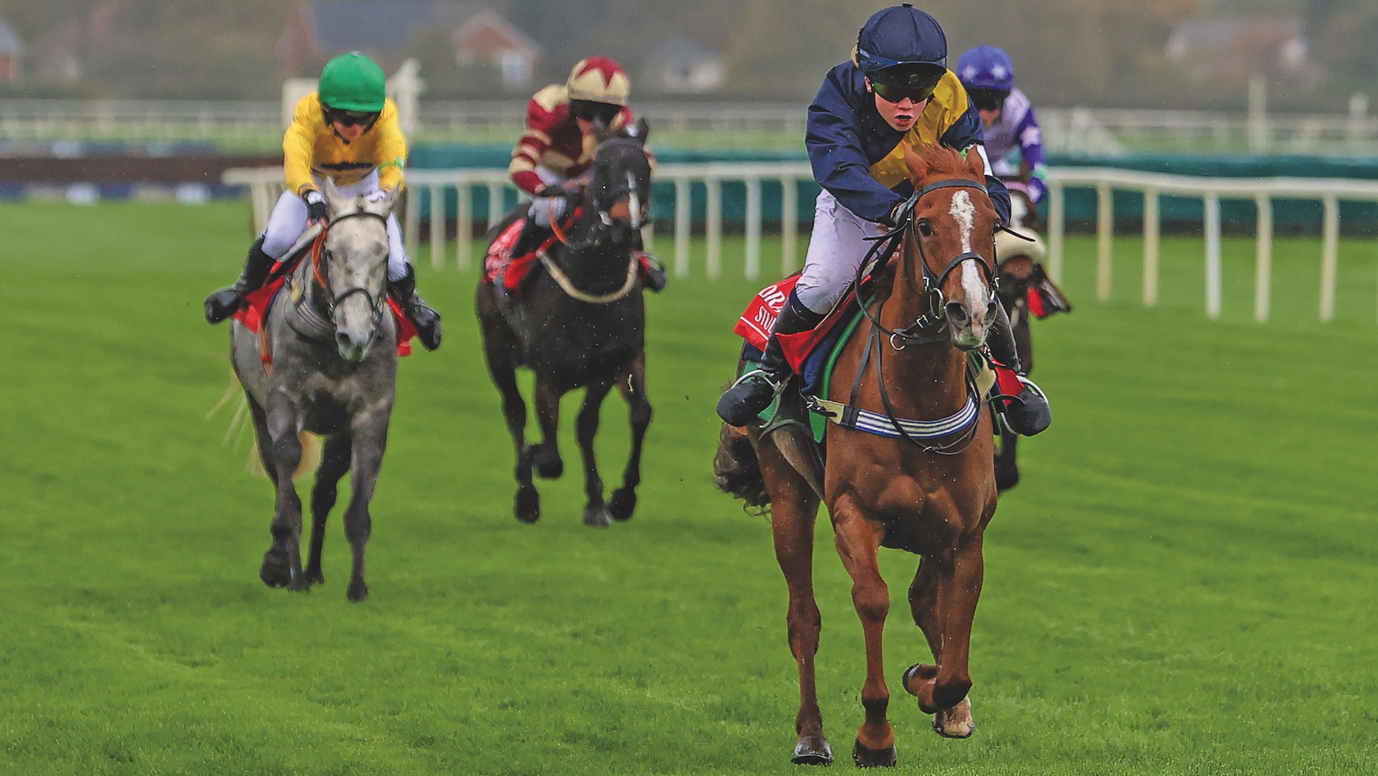 Pony racing scene on grass racecourse
