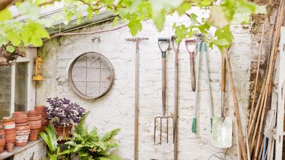 Gardening tools in a greenhouse hanging on the wall